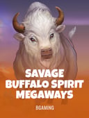 Game Details