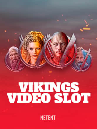 Vikings Video Slot game