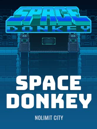 Space Donkey game
