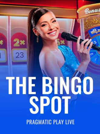 The Bingo Spot game