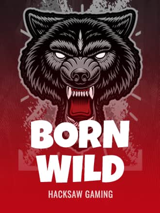 Born Wild game