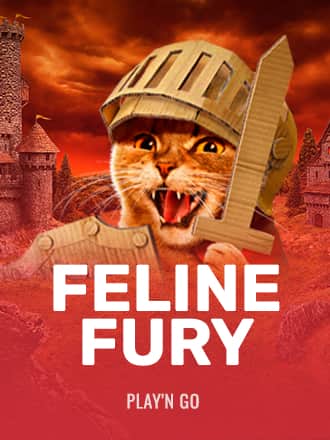 Feline Fury game