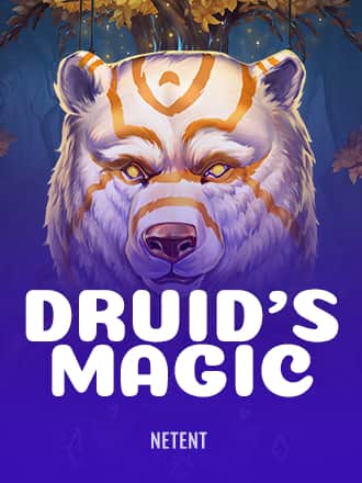 Druid’s Magic game