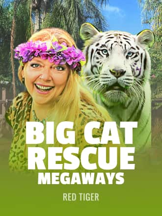 Big Cat Rescue Megaways game