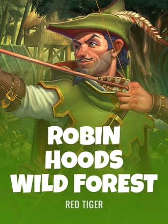 Robin Hoods Wild Forest game