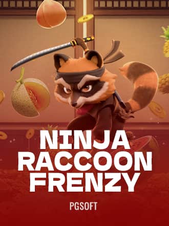 Ninja Raccoon Frenzy game