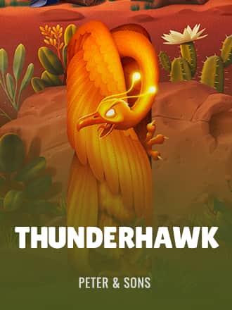 Thunderhawk game