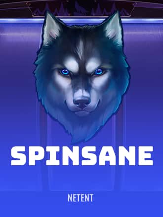 Spinsane game