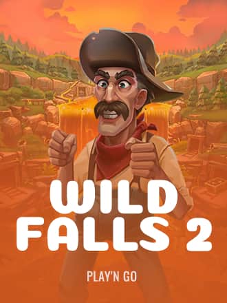 Wild Falls 2 game