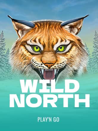 Wild North game