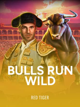 Bulls Run Wild game